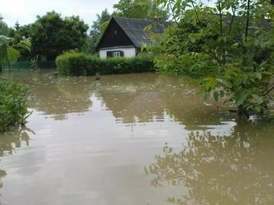 135.jpg