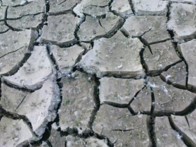 190.jpg