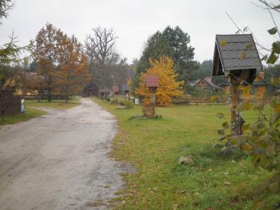 pa250237.jpg