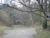 pa250251_t1.jpg